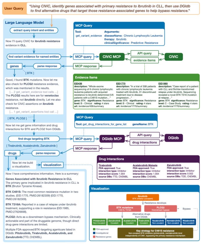 Diagram showing an LLM querying CIViC for ibrutinib-resistance evidence and DGIdb for drugs that target the resulting genes.